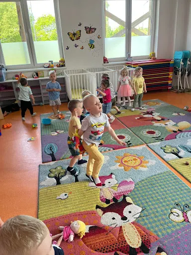 Niepubliczny Żłobek Calineczka